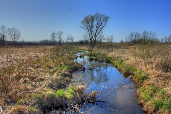 stream though the landscape at kettle moraine south wisconsin 