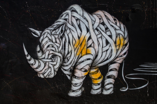 street art rhino