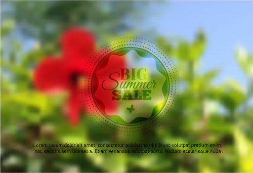 summer flower with blurred background vector