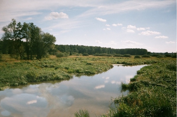 summer landscape near lublin