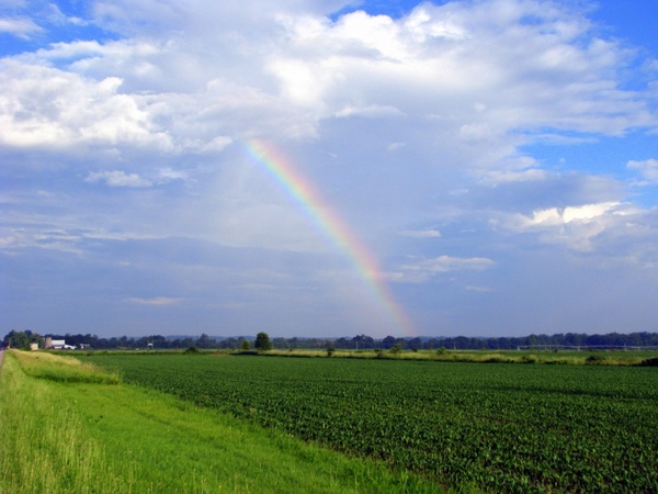 summer rainbow over open field
