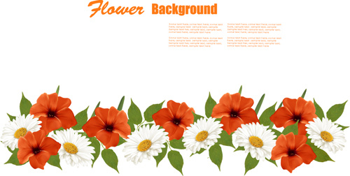 summer white and orange flowers background vector
