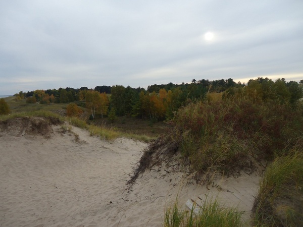 sun setting behind a dune at kohler andrae state park wisconsin