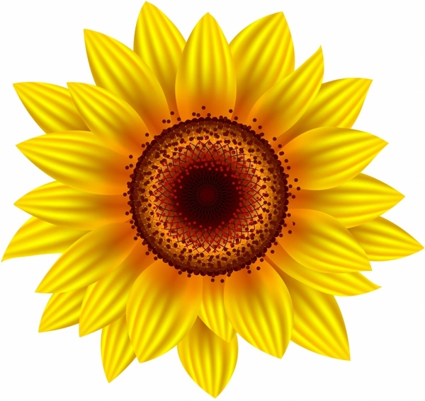 Free 312 Sunflower Svg Pinterest SVG PNG EPS DXF File