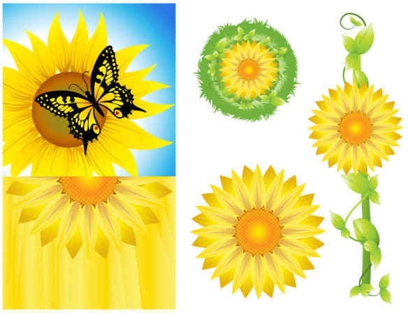 Sunflower Background Vector Graphics