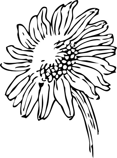 Download Sunflower clip art Free vector in Open office drawing svg ...