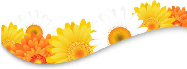 Nền phông hoa hướng dương, Vector hoa hướng dương: Những hoa hướng dương trang trí nền phông sẽ khiến cho bức ảnh trở nên sống động và tươi sáng hơn. Với các vector hoa hướng dương, bạn có thể thoải mái sáng tạo và trang trí ảnh của mình.