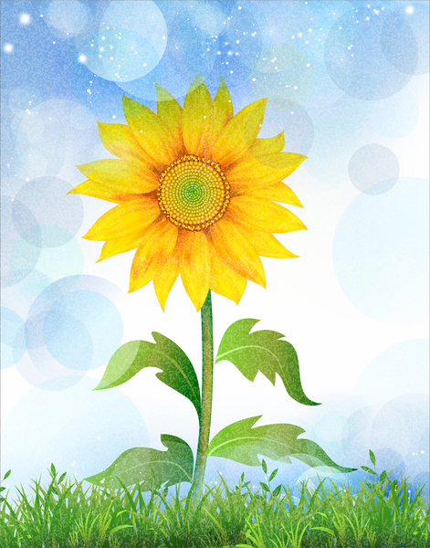 sunflower in green grass and blue sky