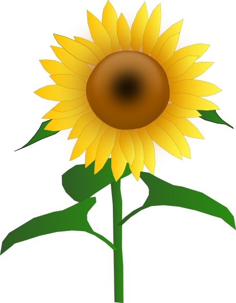 Sunflower Jh clip art