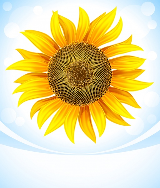 sunflower background modern bright colored decor