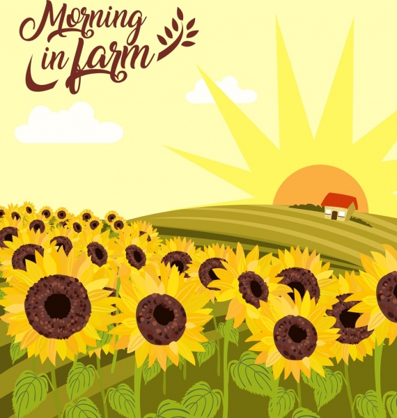 sunflowers farm drawing hill sun icons multicolored decoration