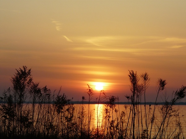 sunrise lake golden