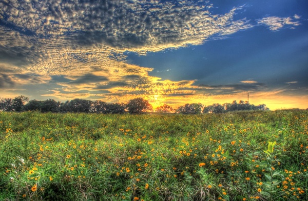 sunset on the prairie at chain o lakes state park illinois