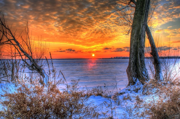 sunset over the ice between trees in madison wisconsin