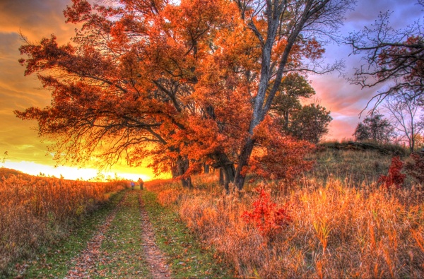 sunset over trees and path in southern wisconsin 