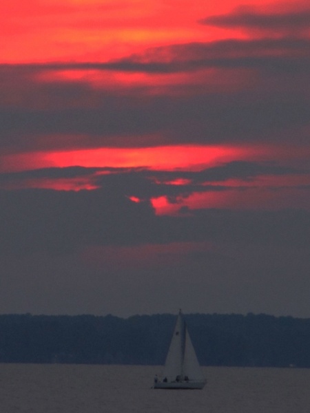 sunset sail 