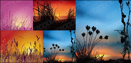 Sunset scenery vector material Vectors graphic art designs in editable