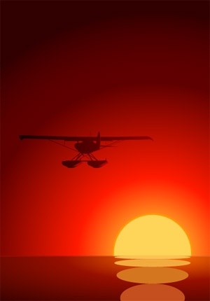 sunset vector under plane