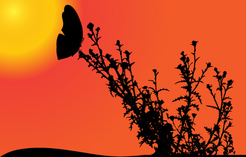 sunset with butterfly silhouette vector