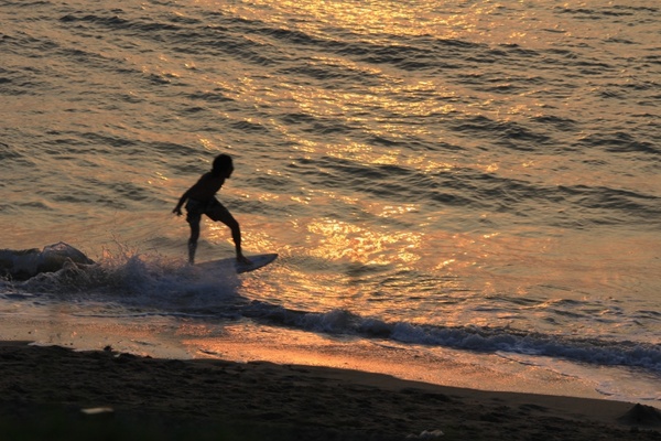 surfer beach wave
