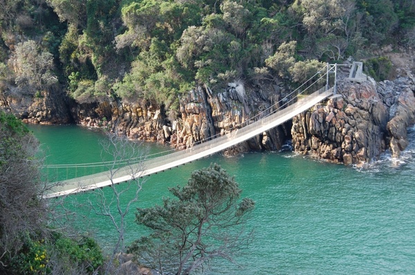 suspension bridge south africa cable