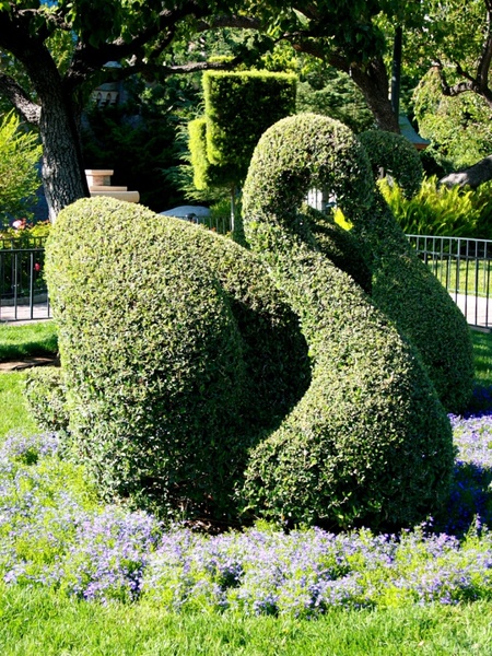 swan topiary sculpture