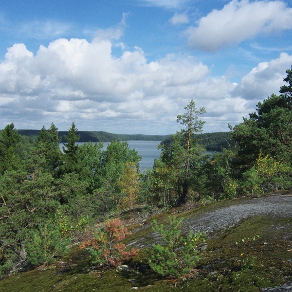 sweden landscape sky