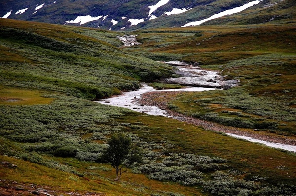 sweden landscape stream