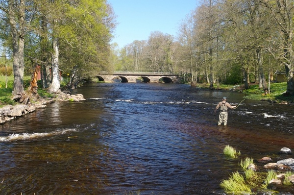 sweden stream river