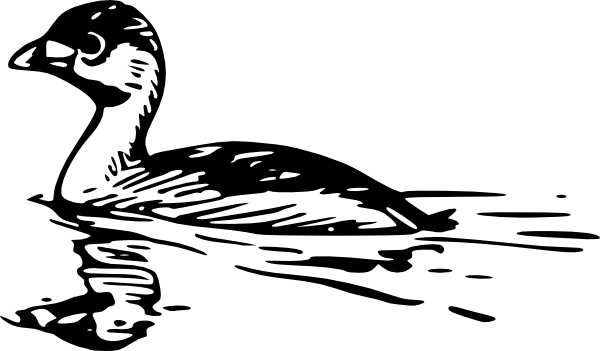 Swimming Duck clip art