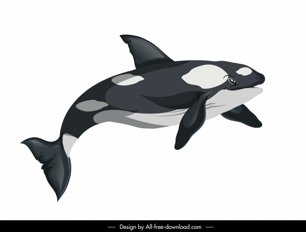 swimming whale icon colored cartoon sketch