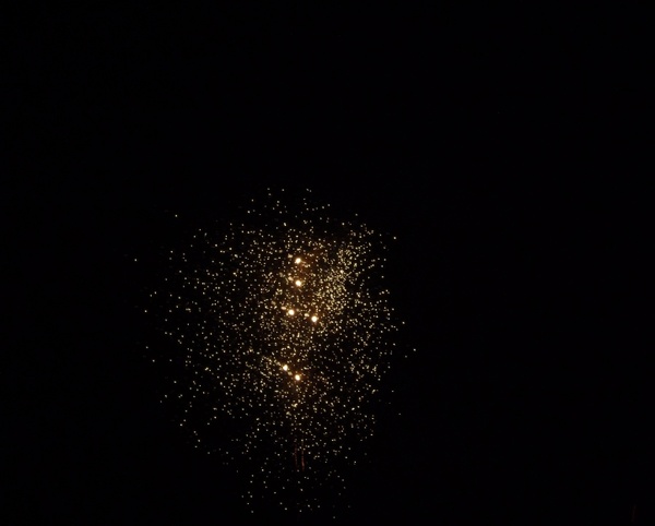 sylvester firework 2013