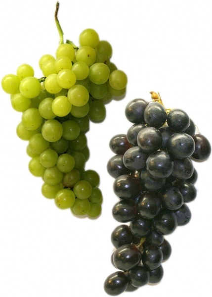 table grapes grapes fruit