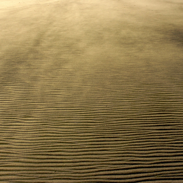tan rippled sand 