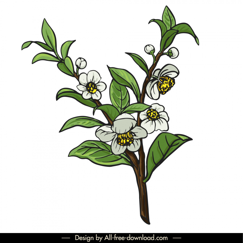 tea design elements handdrawn classical natural leaves flowers outline 