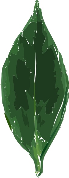 Tea Leaf clip art