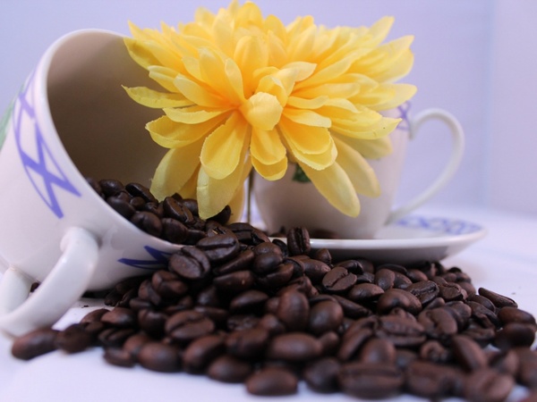 teacup coffee flower