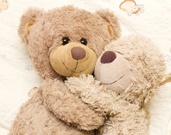 teddy bear toys 03 hd pictures 