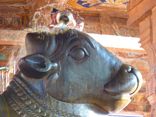 temple bull temple nandi