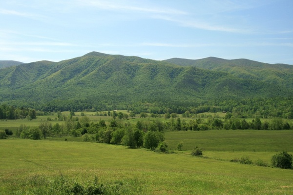tennessee smoky mountains landscape