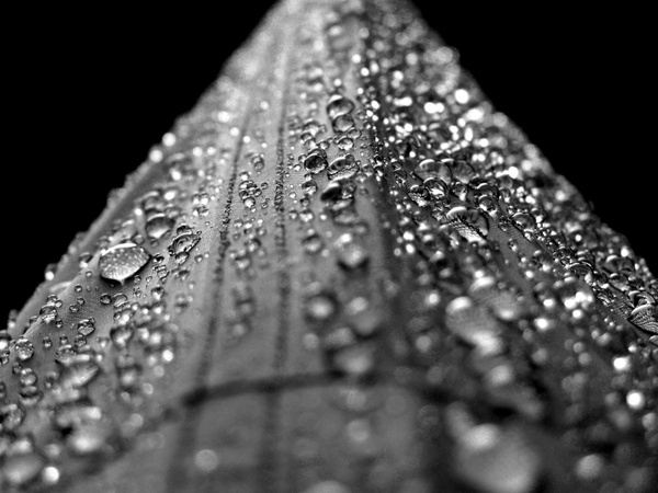 tent water droplets