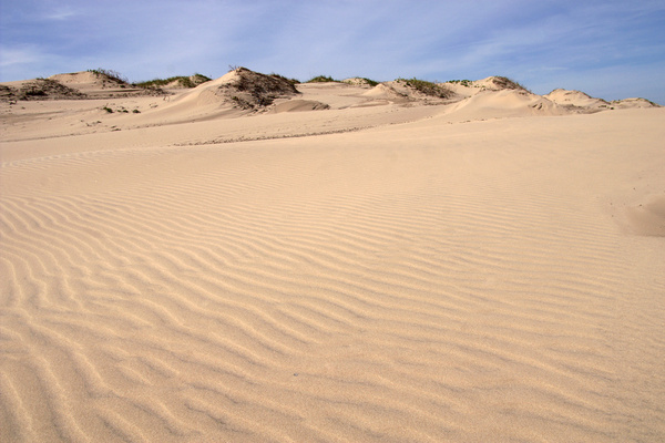 texas sand dunes