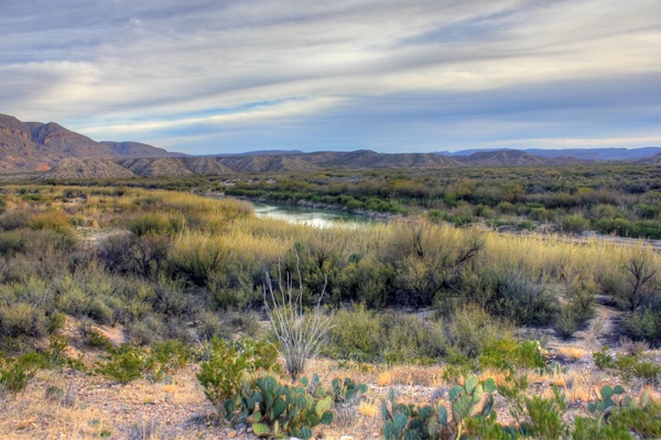 the banks of the rio grande at big bend national park texas 