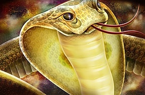 the cobra closepsd layered