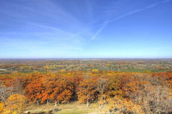 the forest of kettle moraine at lapham peak state park wisconsin