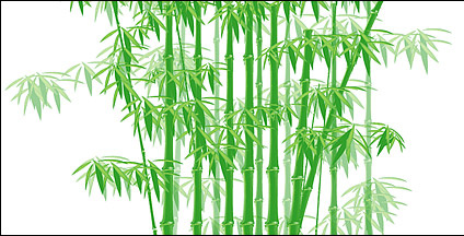 The green bamboo vector material