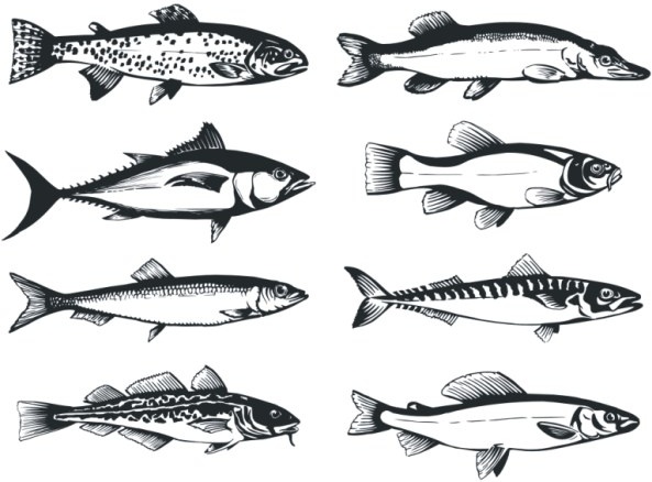 Download Fish free vector download (1,419 Free vector) for commercial use. format: ai, eps, cdr, svg ...