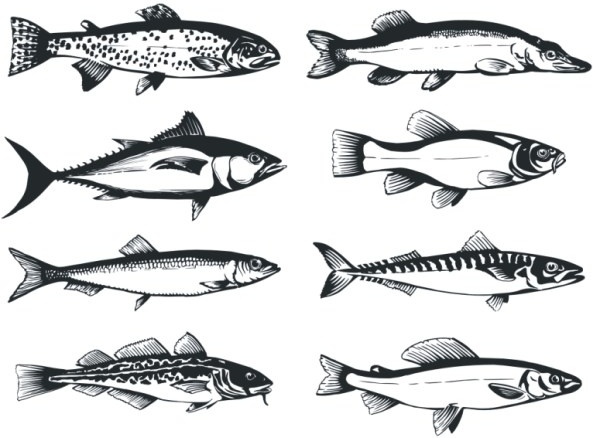 the monochrome fish vector 