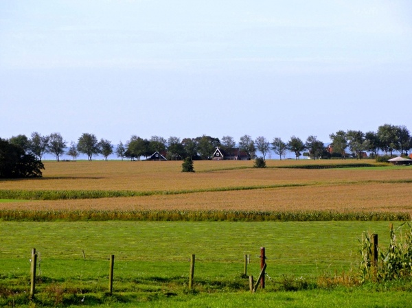 the netherlands landscape fields 