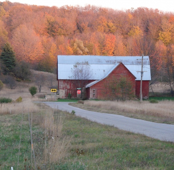 the ole barn 